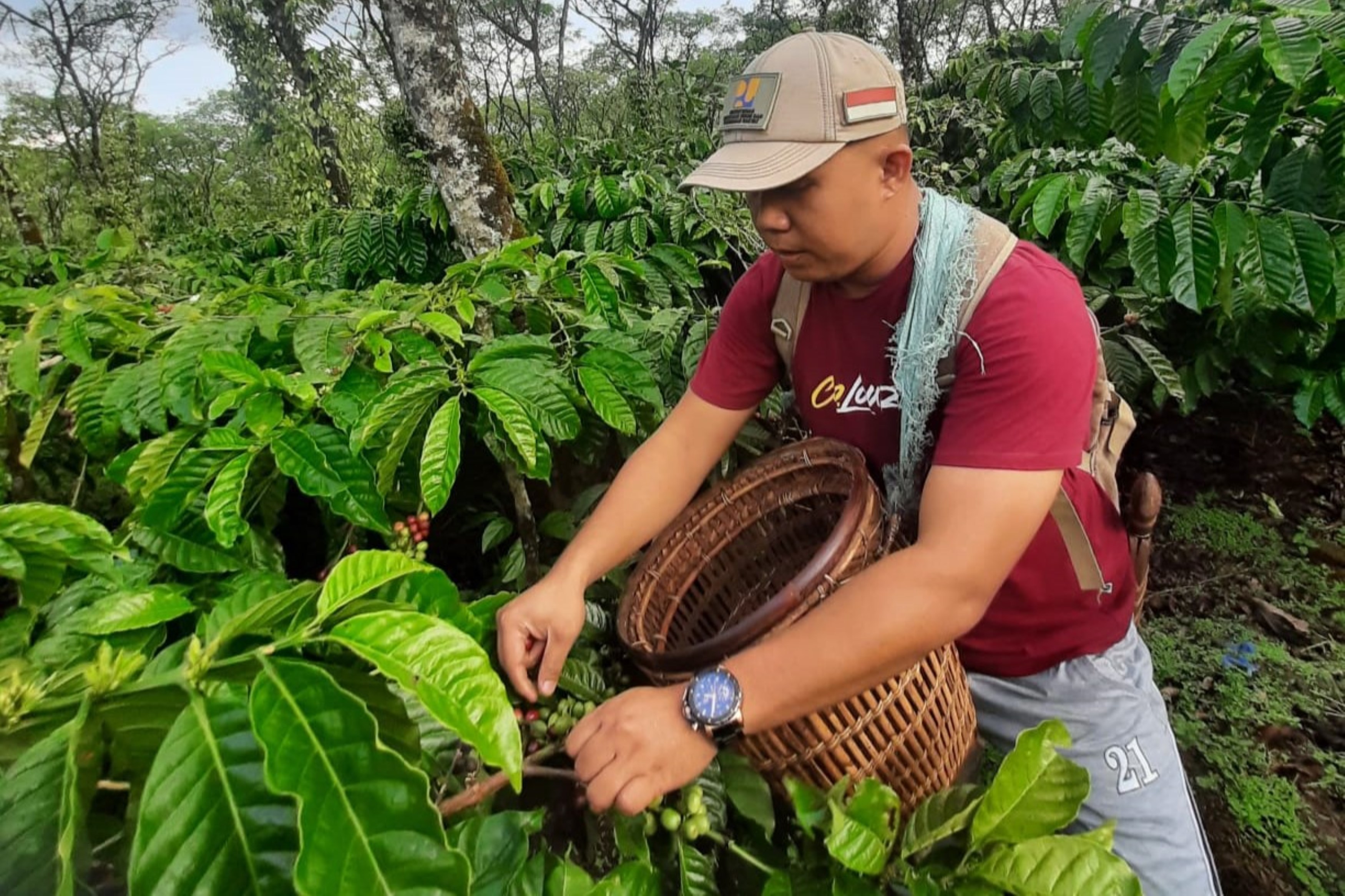 Deni Saputra Sukses Bisnis Kopi Berkat Rumah BUMN Baturaja